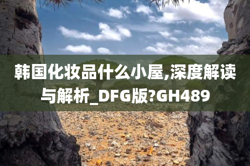 韩国化妆品什么小屋,深度解读与解析_DFG版?GH489