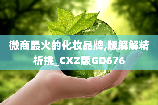 微商最火的化妆品牌,版解解精析挑_CXZ版GD676