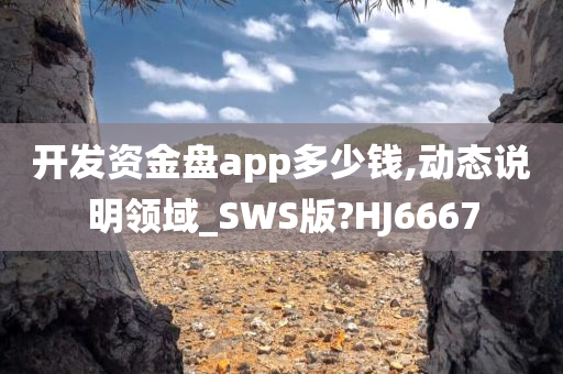 开发资金盘app多少钱,动态说明领域_SWS版?HJ6667