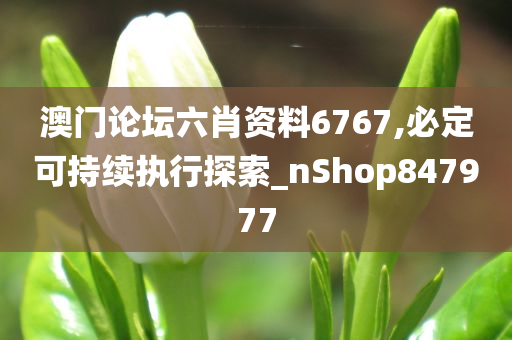 澳门论坛六肖资料6767,必定可持续执行探索_nShop847977