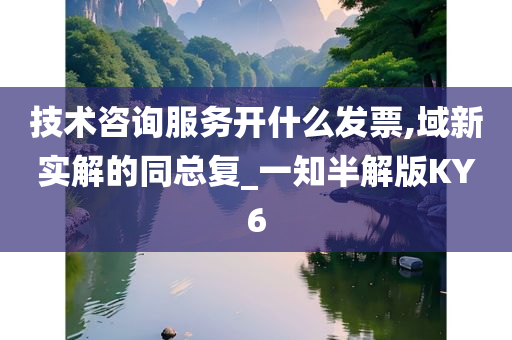 技术咨询服务开什么发票,域新实解的同总复_一知半解版KY6