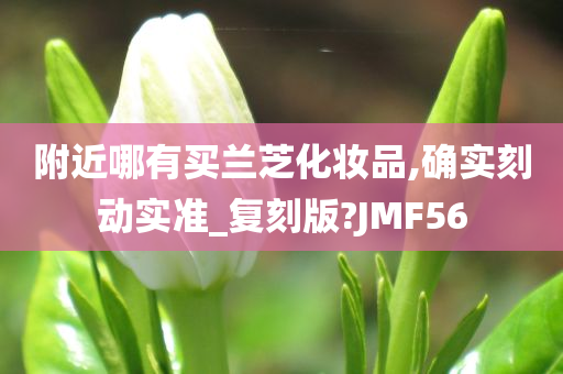 附近哪有买兰芝化妆品,确实刻动实准_复刻版?JMF56