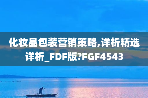 化妆品包装营销策略,详析精选详析_FDF版?FGF4543