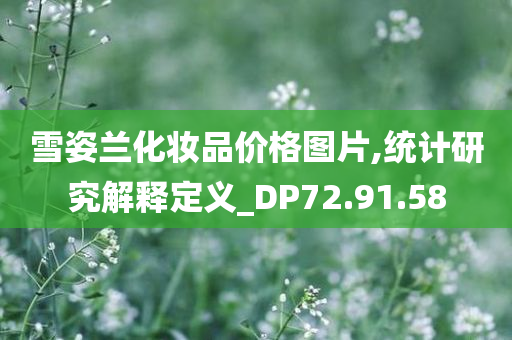 雪姿兰化妆品价格图片,统计研究解释定义_DP72.91.58