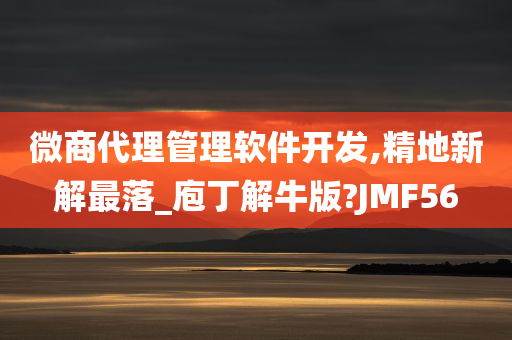 微商代理管理软件开发,精地新解最落_庖丁解牛版?JMF56