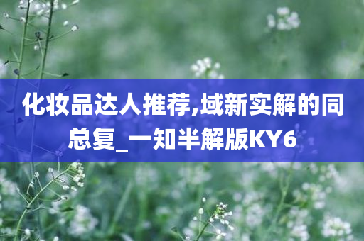 化妆品达人推荐,域新实解的同总复_一知半解版KY6