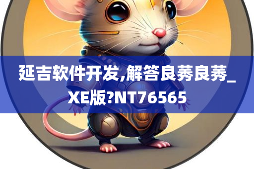 延吉软件开发,解答良莠良莠_XE版?NT76565