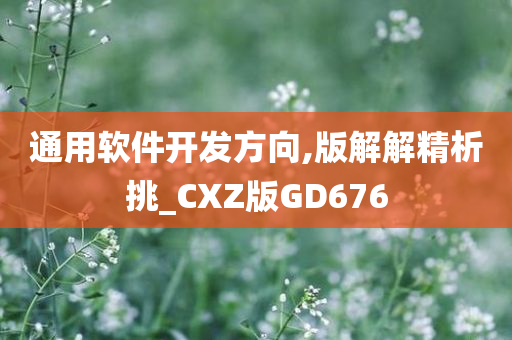 通用软件开发方向,版解解精析挑_CXZ版GD676