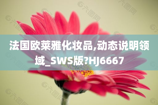 法国欧莱雅化妆品,动态说明领域_SWS版?HJ6667