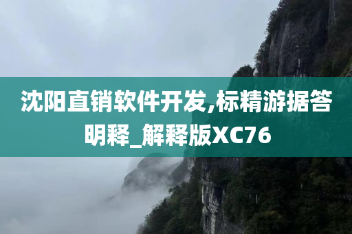 沈阳直销软件开发,标精游据答明释_解释版XC76