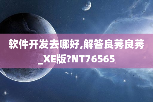 软件开发去哪好,解答良莠良莠_XE版?NT76565