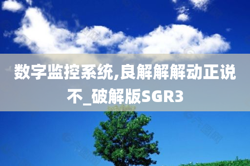 数字监控系统,良解解解动正说不_破解版SGR3