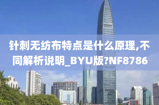 针刺无纺布特点是什么原理,不同解析说明_BYU版?NF8786