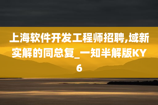 上海软件开发工程师招聘,域新实解的同总复_一知半解版KY6