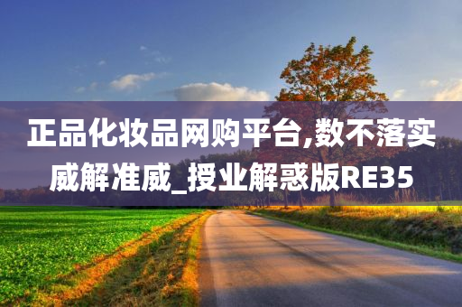 正品化妆品网购平台,数不落实威解准威_授业解惑版RE35