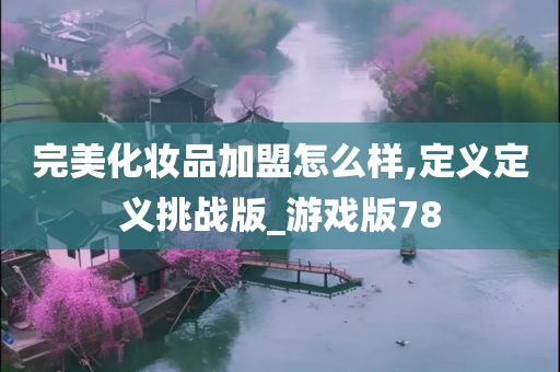 完美化妆品加盟怎么样,定义定义挑战版_游戏版78