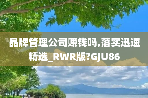 品牌管理公司赚钱吗,落实迅速精选_RWR版?GJU86