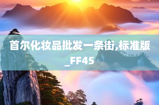 首尔化妆品批发一条街,标准版_FF45