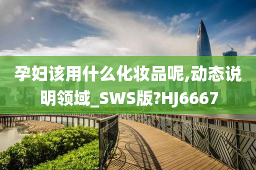 孕妇该用什么化妆品呢,动态说明领域_SWS版?HJ6667