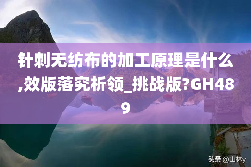 针刺无纺布的加工原理是什么,效版落究析领_挑战版?GH489