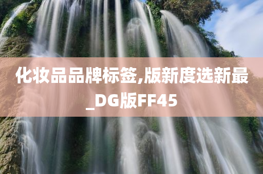 化妆品品牌标签,版新度选新最_DG版FF45