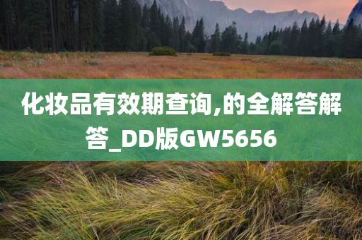 化妆品有效期查询,的全解答解答_DD版GW5656