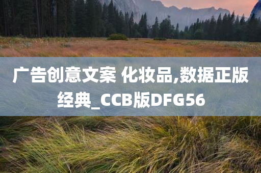 广告创意文案 化妆品,数据正版经典_CCB版DFG56