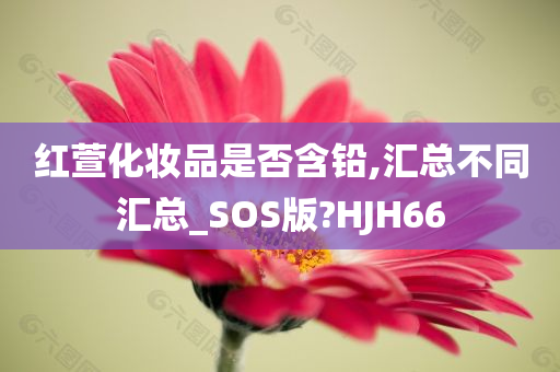 红萱化妆品是否含铅,汇总不同汇总_SOS版?HJH66