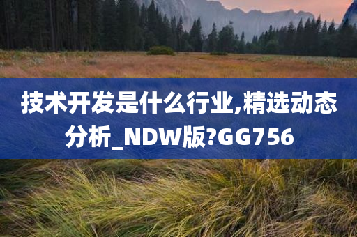 技术开发是什么行业,精选动态分析_NDW版?GG756