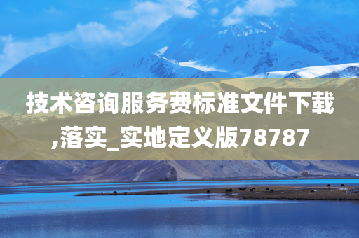 技术咨询服务费标准文件下载,落实_实地定义版78787