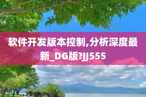 软件开发版本控制,分析深度最新_DG版?JJ555