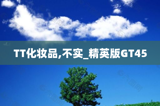 TT化妆品,不实_精英版GT45