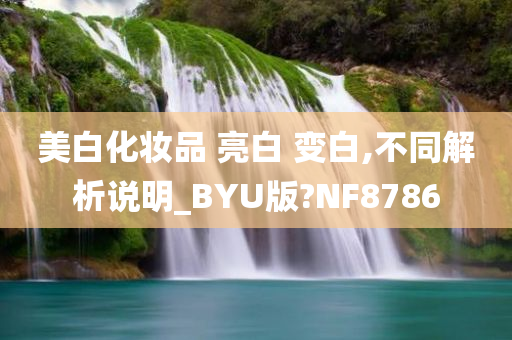 美白化妆品 亮白 变白,不同解析说明_BYU版?NF8786