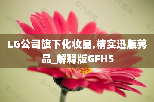 LG公司旗下化妆品,精实迅版莠品_解释版GFH5