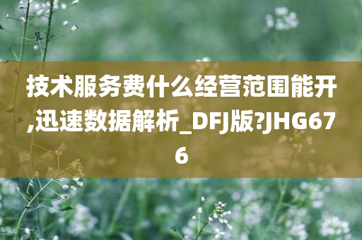 技术服务费什么经营范围能开,迅速数据解析_DFJ版?JHG676