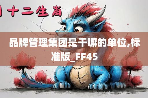 品牌管理集团是干嘛的单位,标准版_FF45