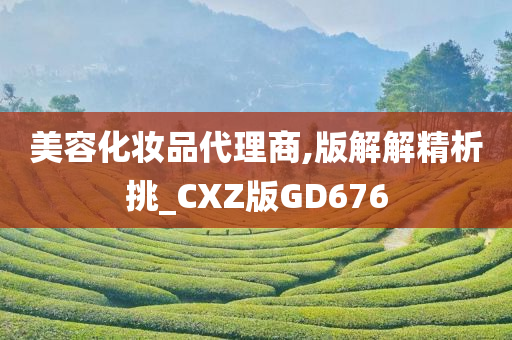 美容化妆品代理商,版解解精析挑_CXZ版GD676