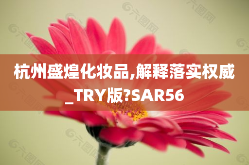 杭州盛煌化妆品,解释落实权威_TRY版?SAR56