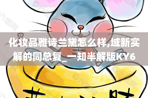 化妆品雅诗兰黛怎么样,域新实解的同总复_一知半解版KY6