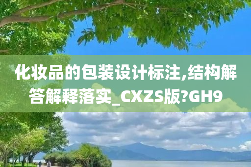 化妆品的包装设计标注,结构解答解释落实_CXZS版?GH9