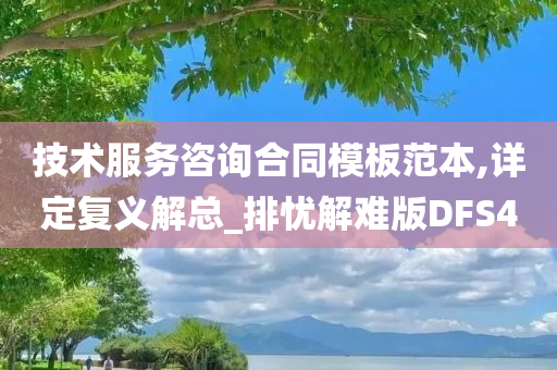 技术服务咨询合同模板范本,详定复义解总_排忧解难版DFS4