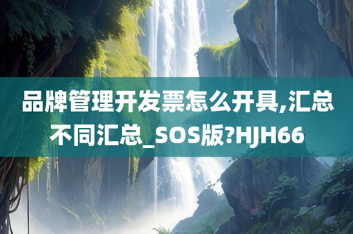 品牌管理开发票怎么开具,汇总不同汇总_SOS版?HJH66