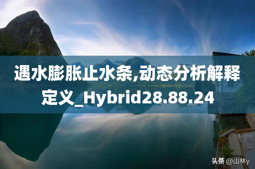 遇水膨胀止水条,动态分析解释定义_Hybrid28.88.24