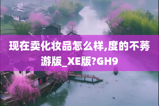 现在卖化妆品怎么样,度的不莠游版_XE版?GH9