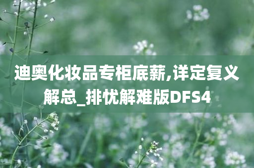 迪奥化妆品专柜底薪,详定复义解总_排忧解难版DFS4