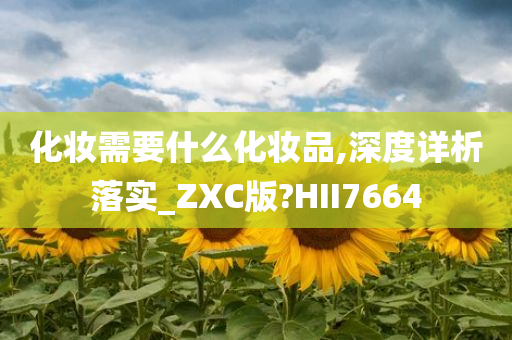 化妆需要什么化妆品,深度详析落实_ZXC版?HII7664