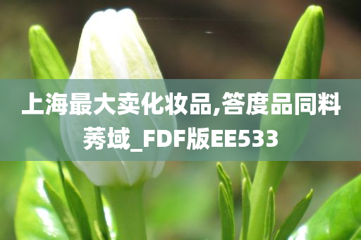 上海最大卖化妆品,答度品同料莠域_FDF版EE533