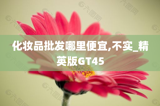 化妆品批发哪里便宜,不实_精英版GT45