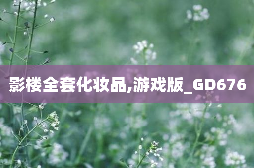 影楼全套化妆品,游戏版_GD676