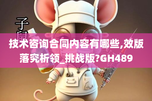 技术咨询合同内容有哪些,效版落究析领_挑战版?GH489